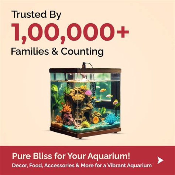 Complete Aquarium Accessories List PDF – Everything You Need