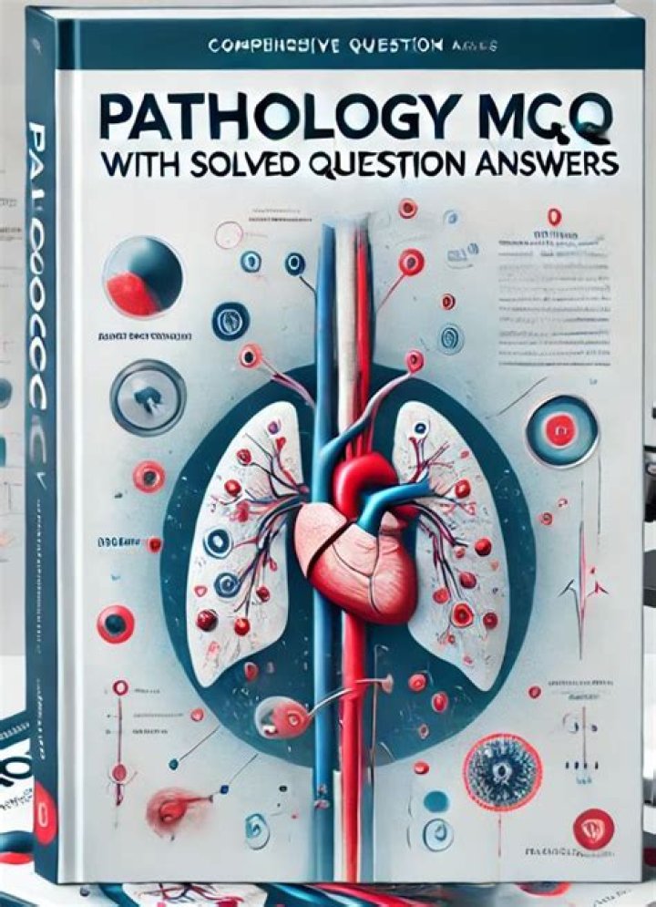 Arabic MCQs with Answers PDF for Easy Learning