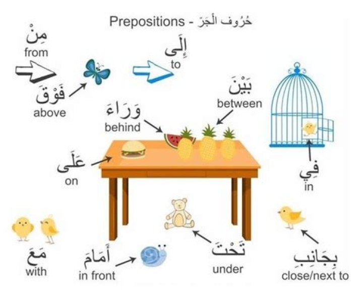 Arabic Prepositions List PDF: Essential Grammar Resource