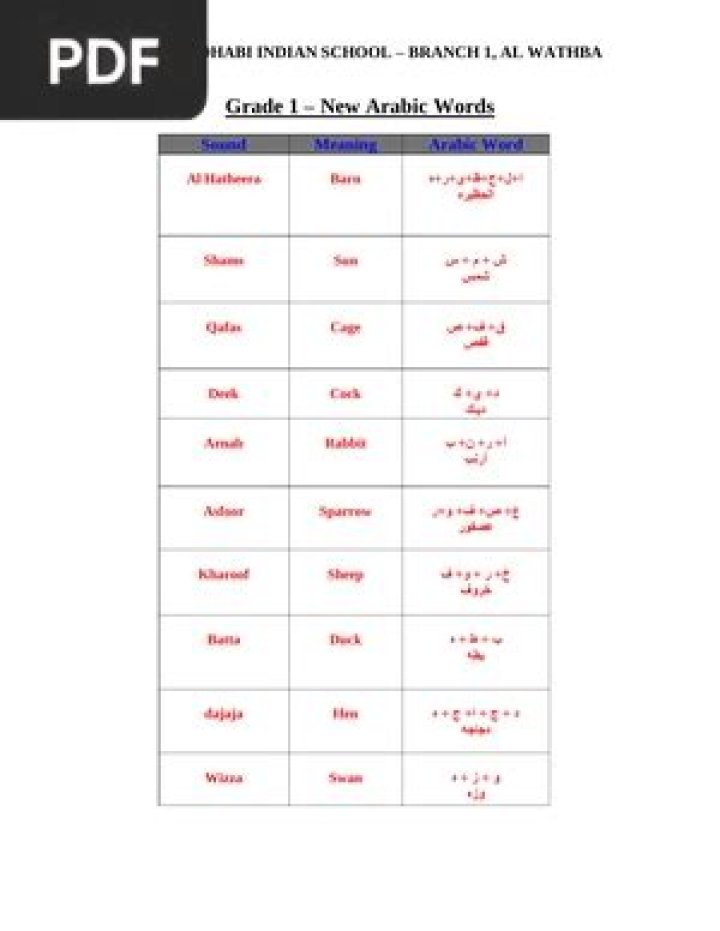 Complete Arabic Vocabulary List PDF for Beginners
