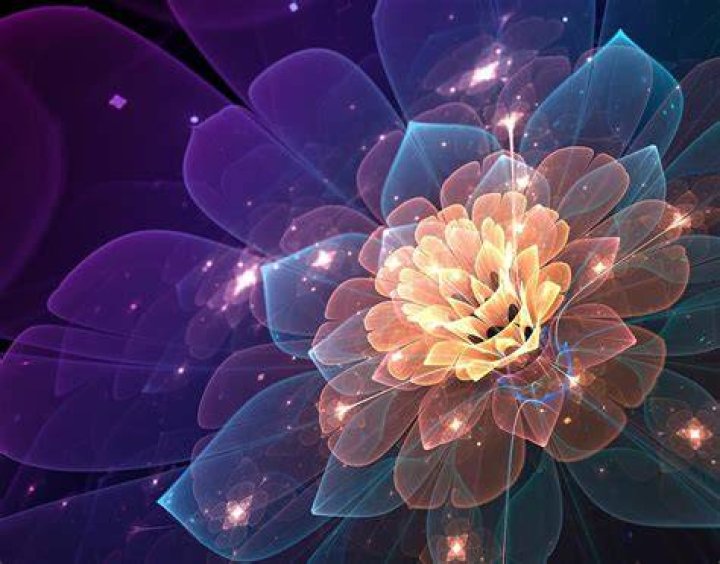 Are flowers fractals?