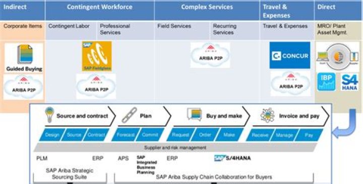 Ariba Contract Management User Guide PDF: Full Step-by-Step Tutorial