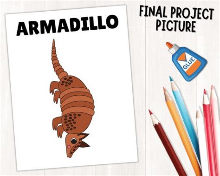 Free Armadillo Trap Plans PDF – Download Instant Guide