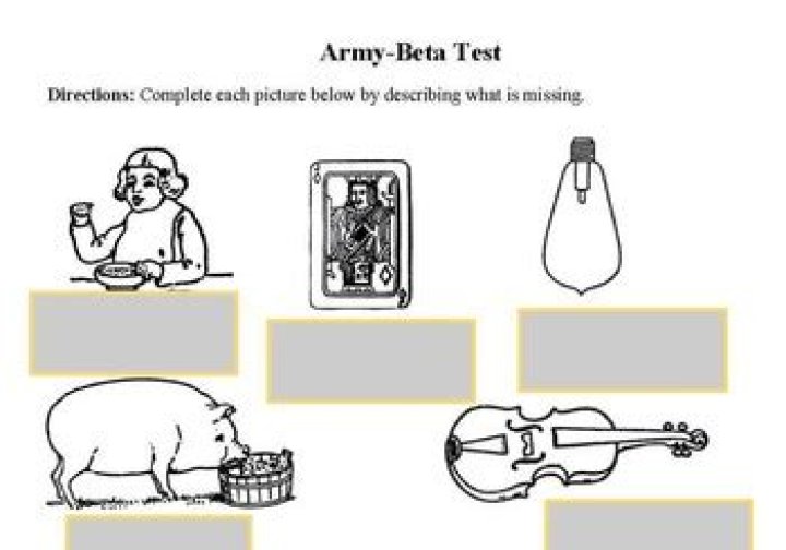 Army Beta Test PDF: Official Release & Review