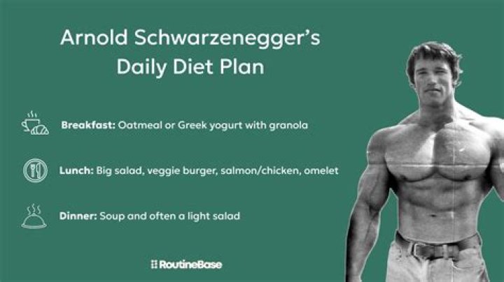 Arnold Schwarzenegger's Ultimate Vegan Diet Plan PDF