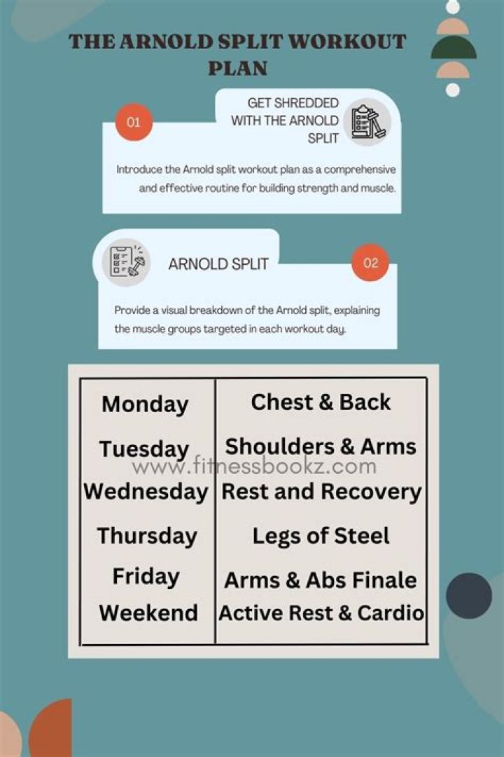 Arnold Split Workout Plan PDF – Complete Beginner to Advanced Routine