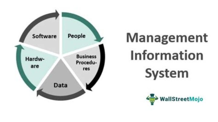 In-Depth Article Review on Management Information Systems PDF