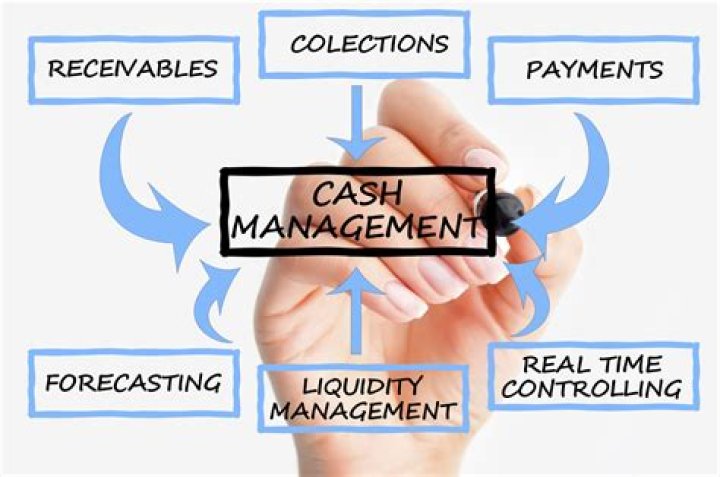 Master Cash Management: Essential PDF Articles & Guides