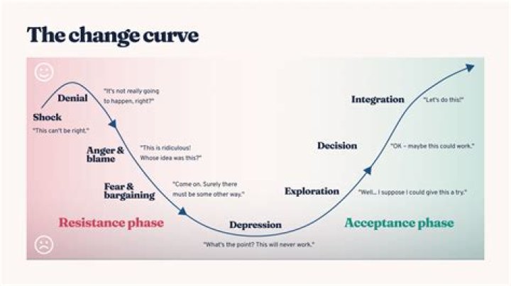Essential Change Management PDF Articles for Leaders