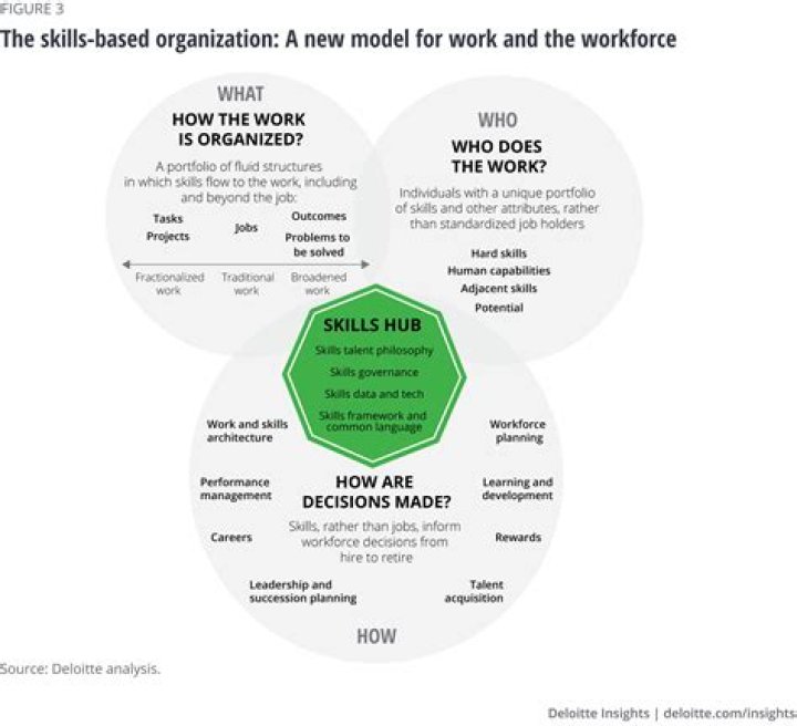 Essential Management Skills PDF: Improve Leadership & Team Performance