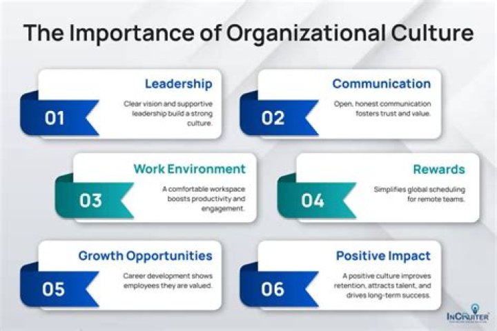 Measurement and Management of Organizational Culture: Key Insights in PDF