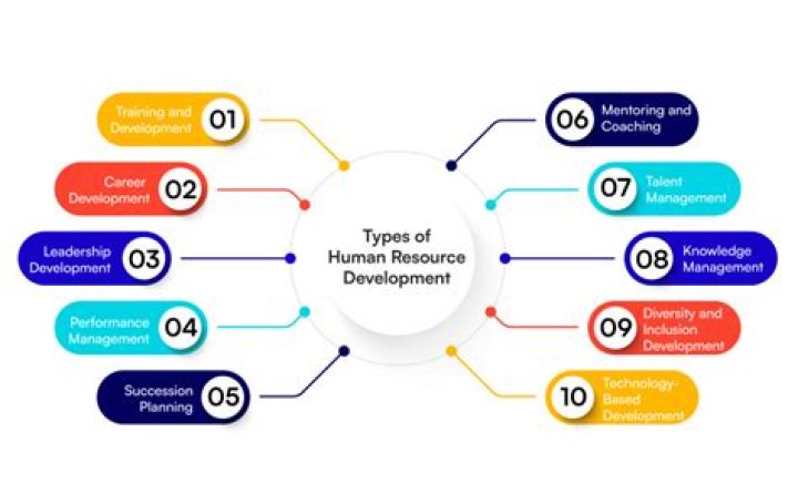 Essential Training and Development HR Management PDF Articles
