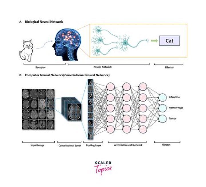 Optimizing Construction Management with Artificial Neural Networks: A PDF Guide