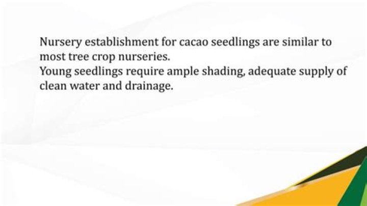 Asexual Propagation & Cacao Nursery Setup: Essential PDF Guide for Nursery Management