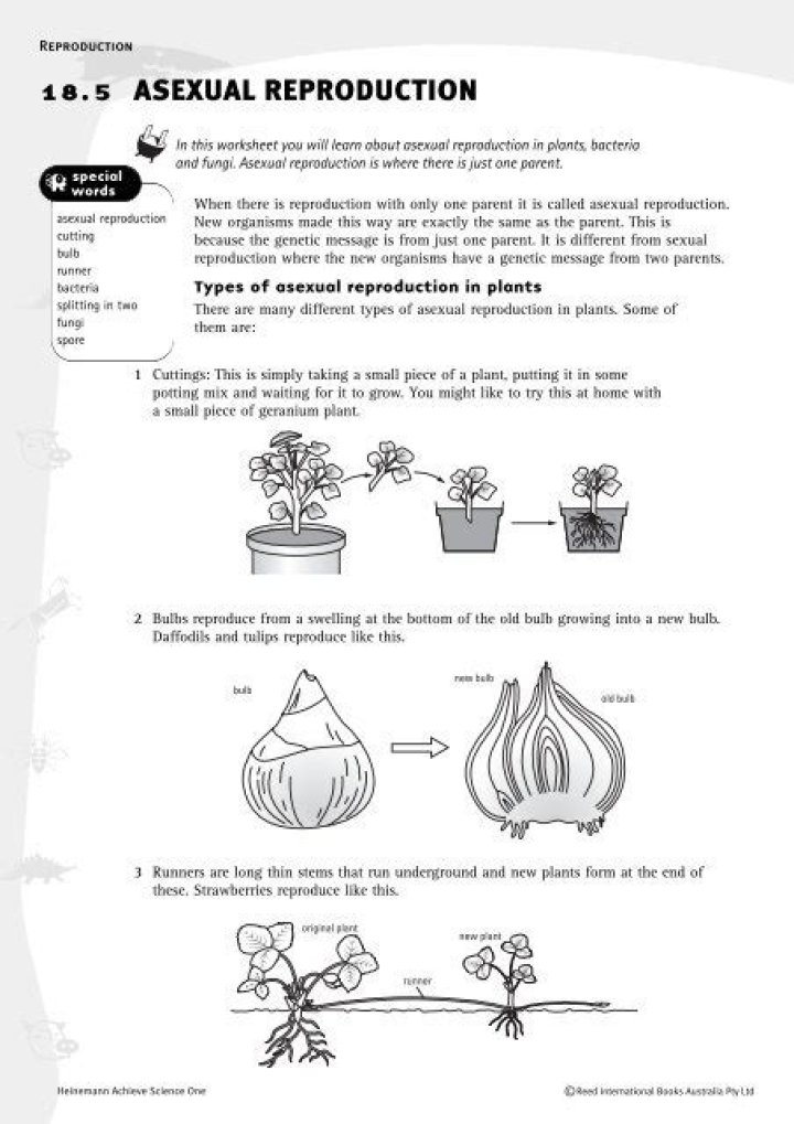 Asexual Reproduction in Plants Worksheet PDF: Learn Key Concepts