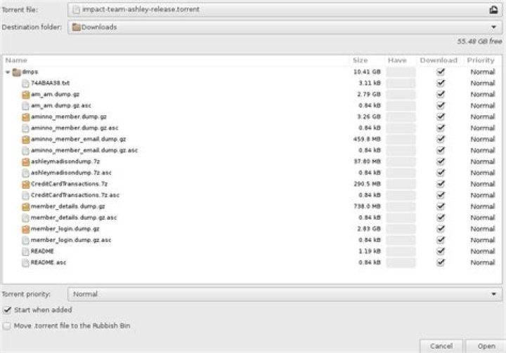Ashley Madison List PDF Download: Updated Contact List & Profiles
