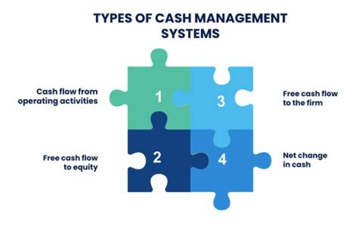 Comprehensive Assessment of Cash Management PDF for Business Success