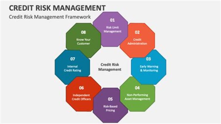 Comprehensive Assessment of Credit Risk Management PDF Guide