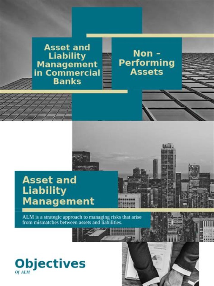 Asset and Liability Management in Banks: Essential PDF Guide