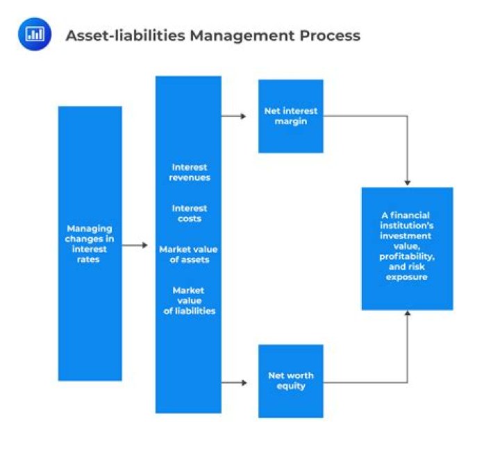Mastering Asset and Liabilities Management in Banks: Essential PDF Guide