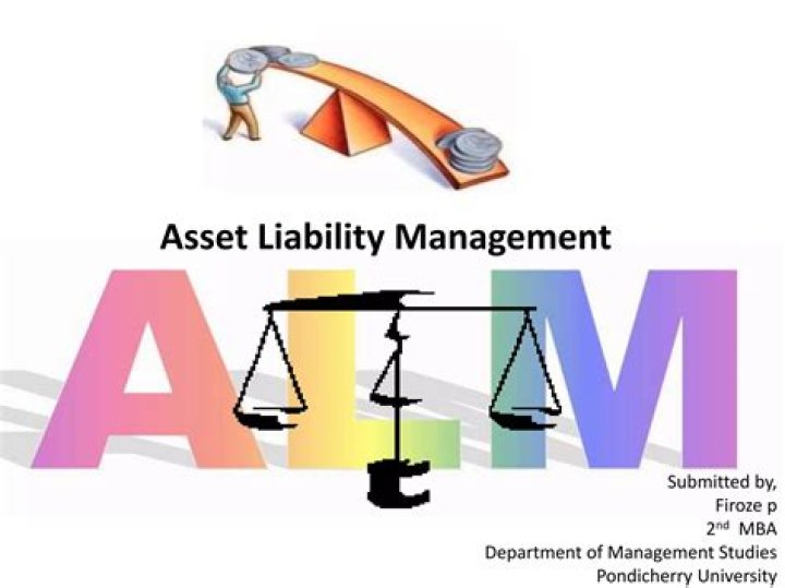 Master Asset Liability Management with Expert PDF Course
