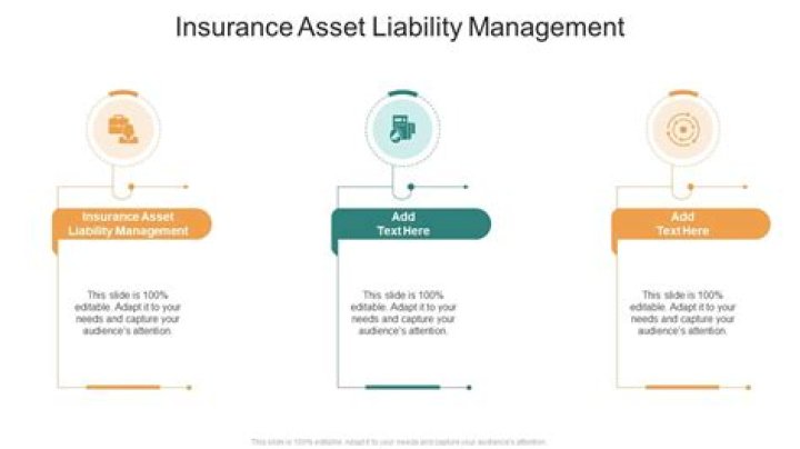 Asset Liability Management Insurance: Complete PDF Guide