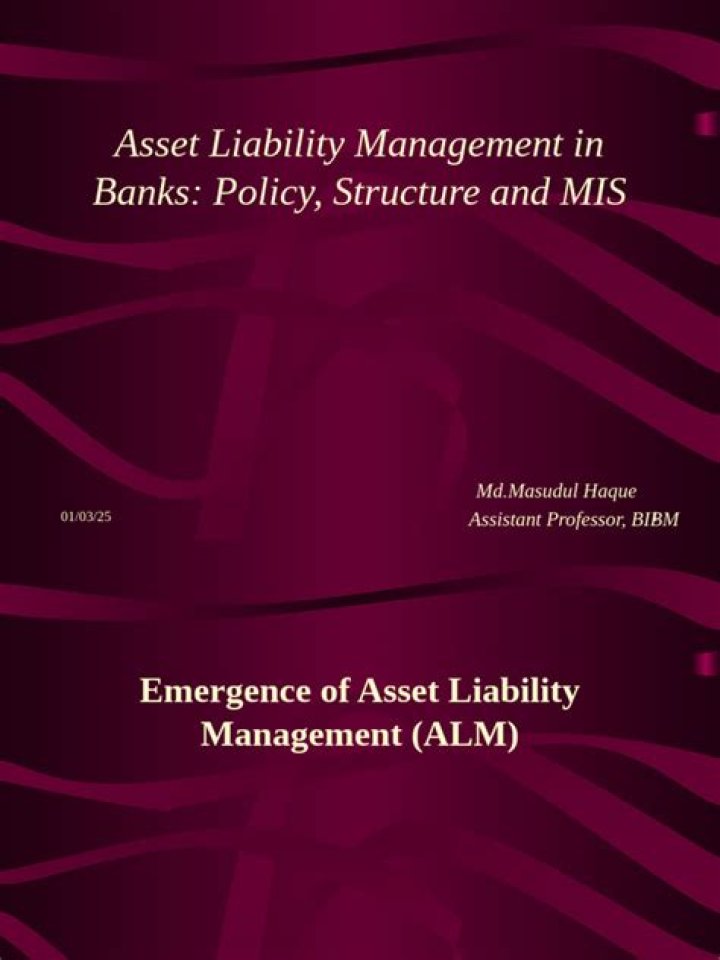 Asset Liability Management PDF: Master Cash Flow & Risk Strategy