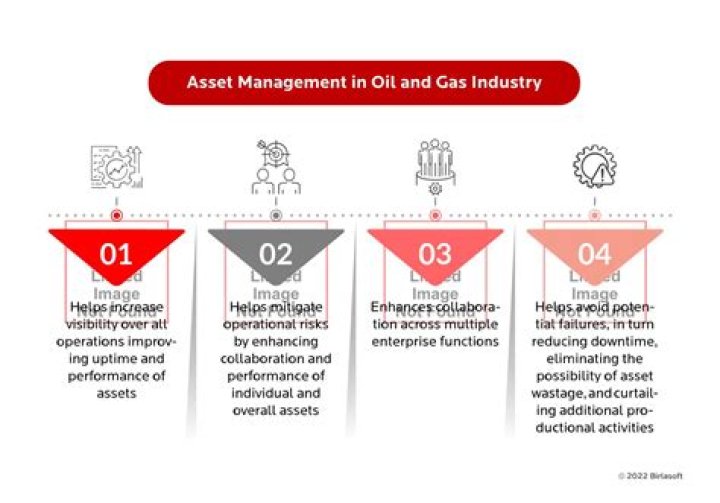 Asset Management in Oil and Gas: Expert PDF Guide