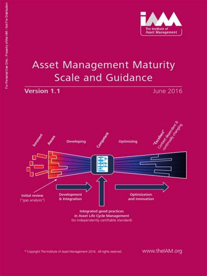 Asset Management Maturity Scale & Expert Guidance PDF: Optimize Your Process
