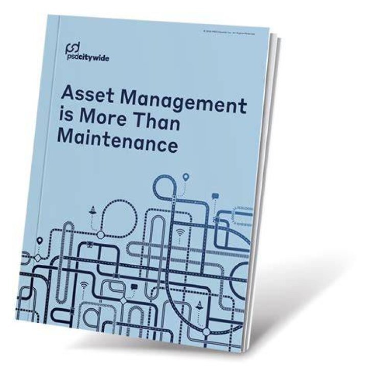 Master Asset Management: Essential PDF eBook Guide