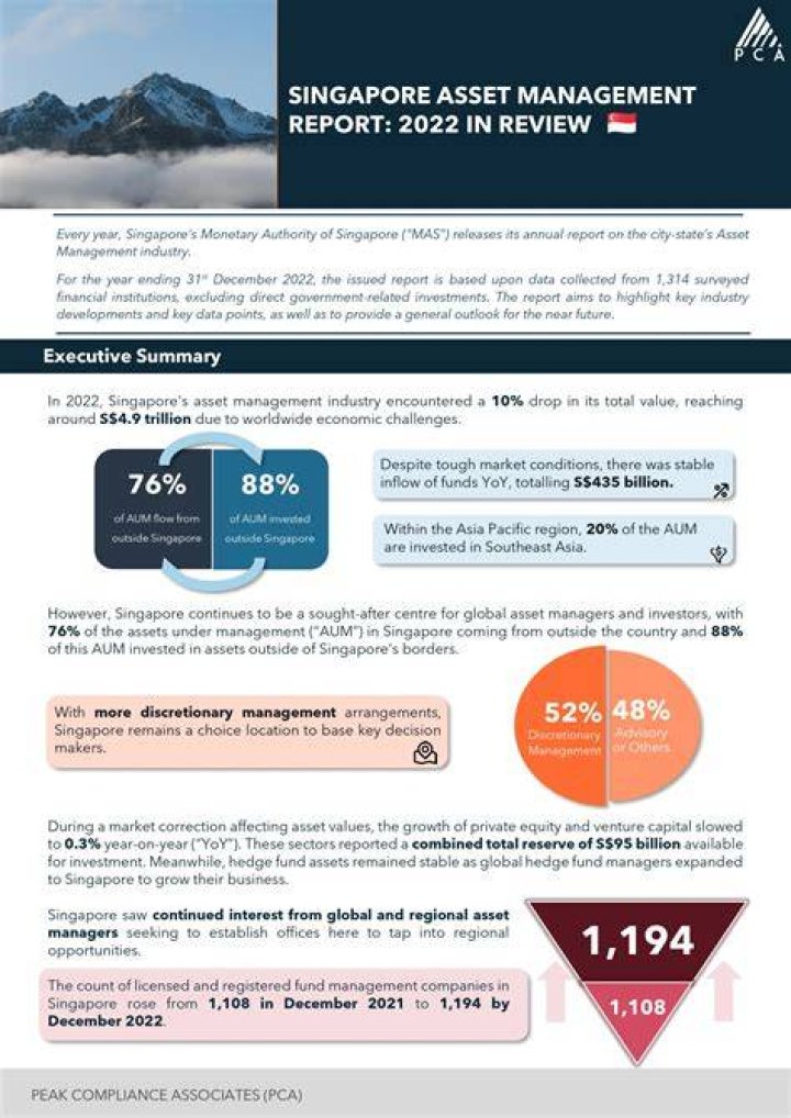 Asset Management Report PDF – Expert Analysis & Insights