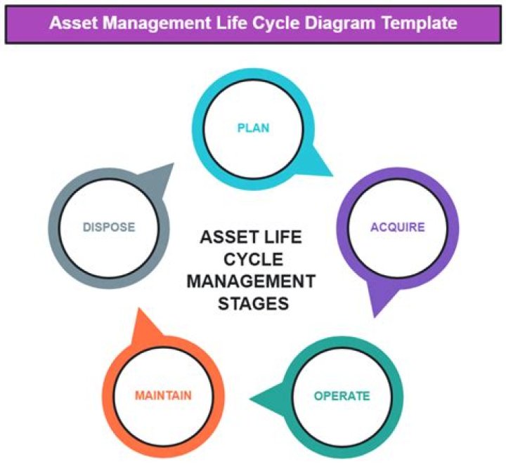 Asset Management & Whole Life Management PDF Guide
