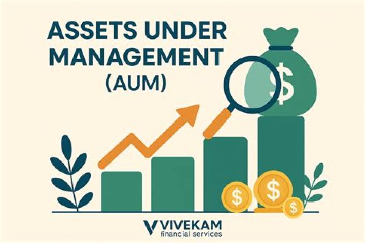 Download Expert Guide: Assets Under Management PDF