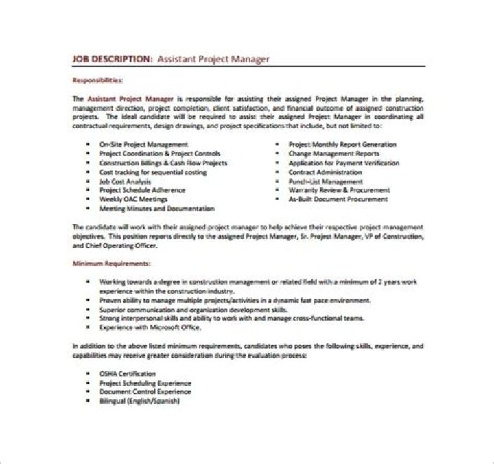 Assistant Project Manager Job Description PDF