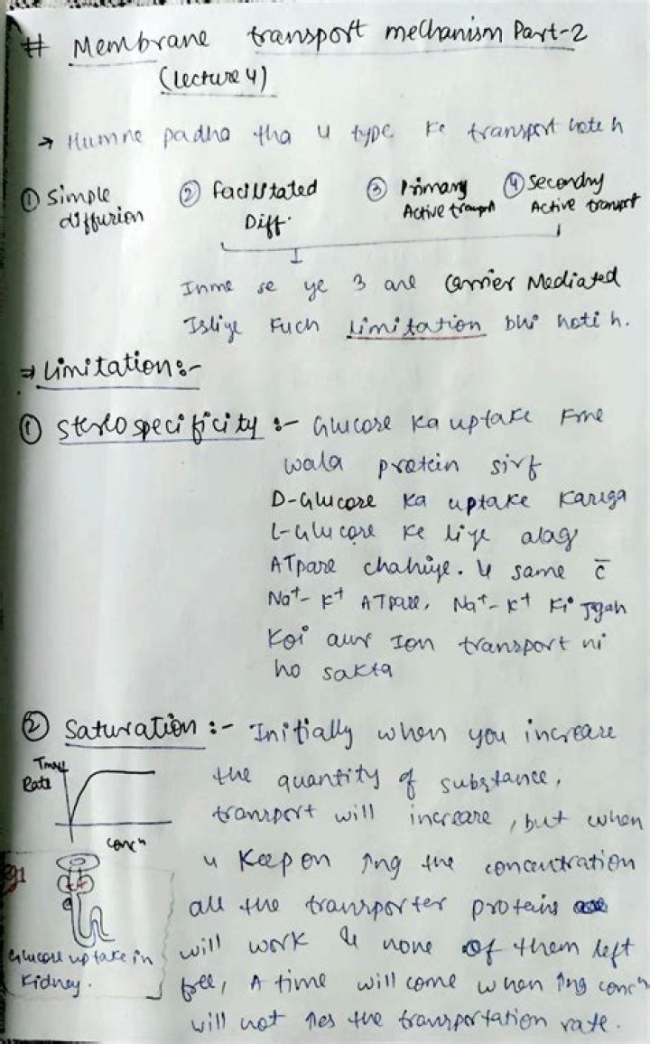 AT6013 Transport Management Notes PDF: Complete Guide & Tips