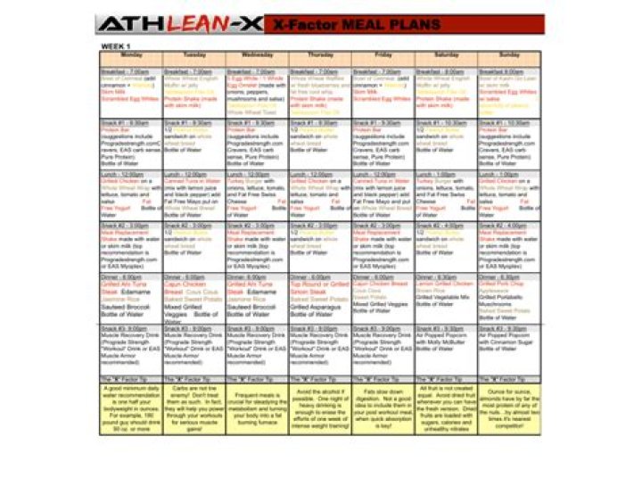 Free Athlean-X Meal Plan PDF Download – Optimize Your Diet