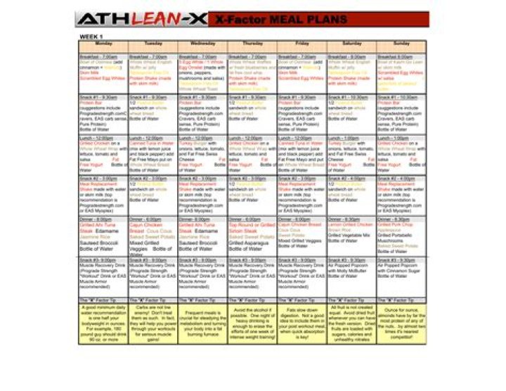 Athlean X Workout Plan PDF: Complete Home Gym Training Program