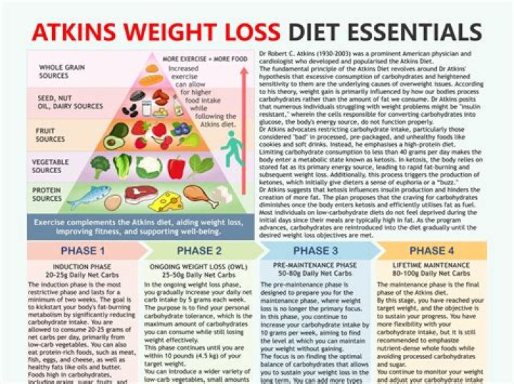 Complete Atkins Diet Plan PDF for Rapid Weight Loss