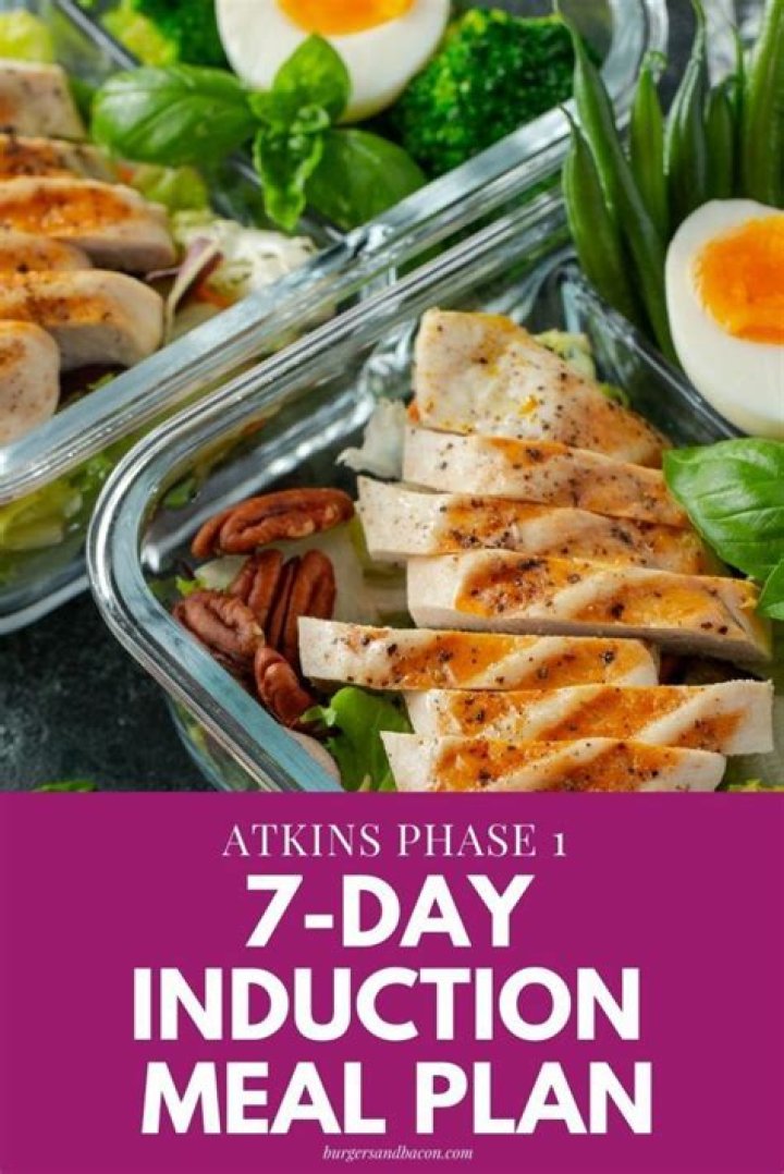 Atkins Induction Plan PDF: Your Step-by-Step Guide