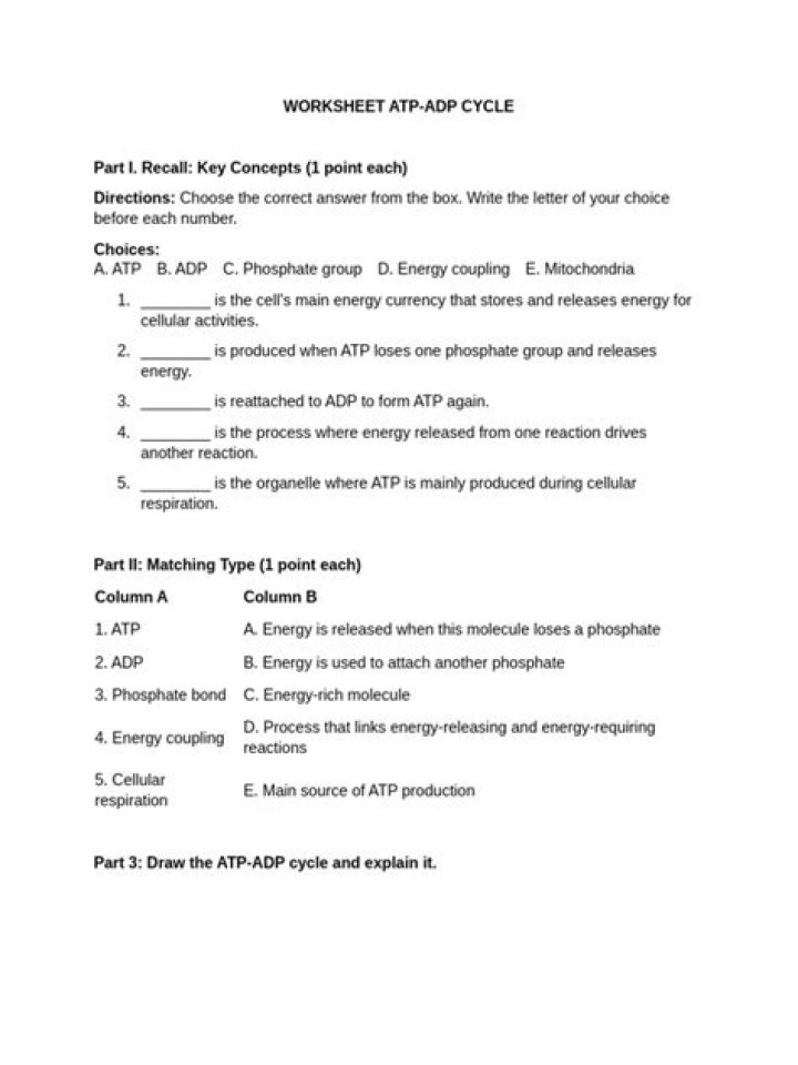 Free ATP-ADP Cycle Worksheet PDF for Biology Students