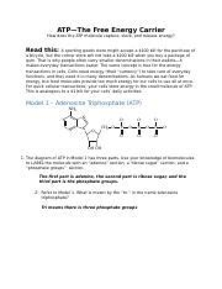 ATP: The Free Energy Carrier – POGIL Answers PDF