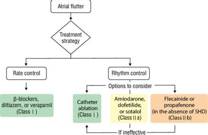 Comprehensive Guide to Atrial Flutter Management: Evidence-Based PDF