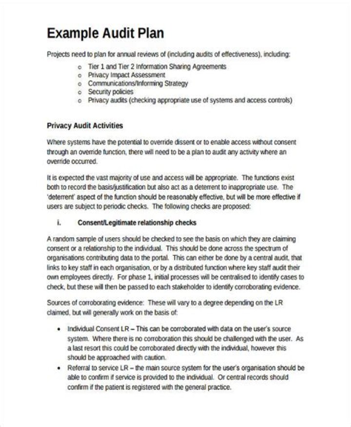 Audit Plan Example PDF for Effective Financial & Compliance Audits