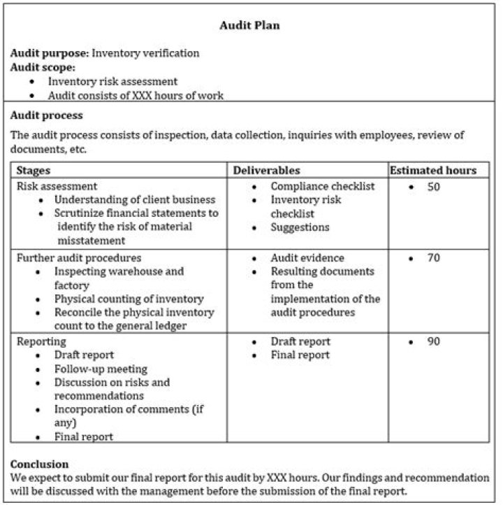 Audit Plan Sample PDF – Download Free Template