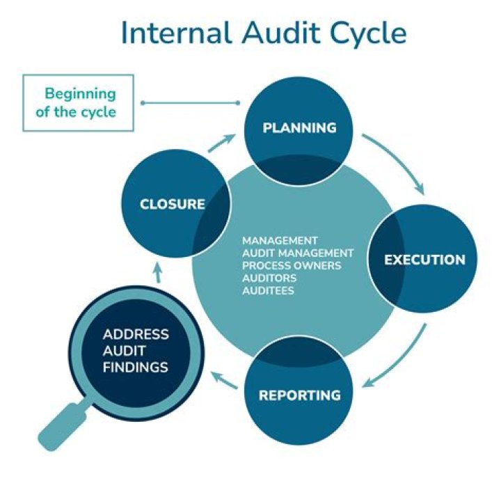 Auditing in Public Expenditure Management: Expert PDF Guide