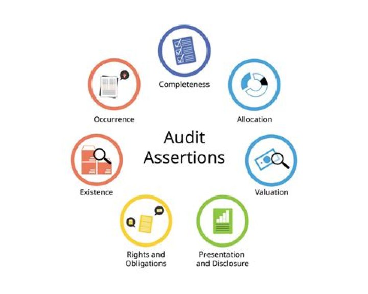Auditing Management Assertions PDF Guide