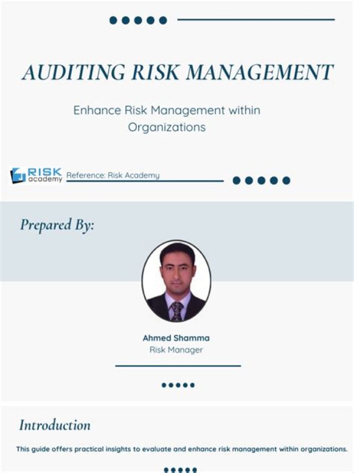 Auditing Risk Management PDF: Master Risk Mitigation Strategies