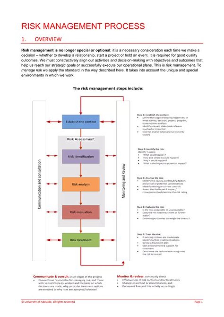 Mastering Auditing Risk Management: Essential PDF Process Guide