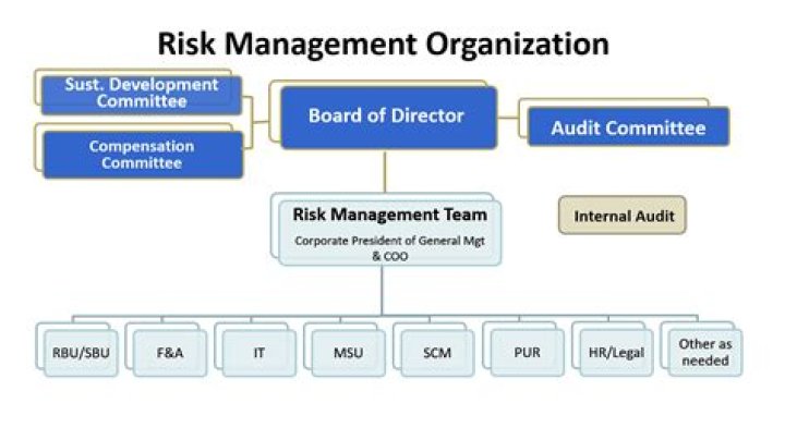 Audit Municipal Risk Management Department PDF Program Files