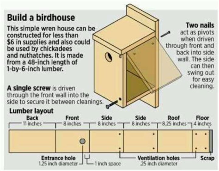 Free Audubon Birdhouse Plans PDF – Easy DIY Birdhouse Blueprints